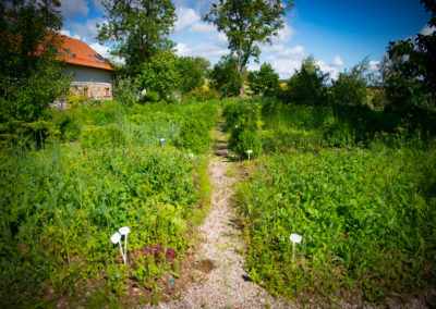 Ekologoczny ogród