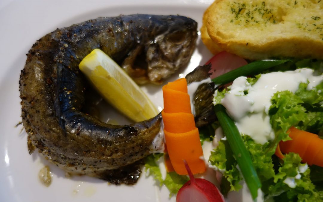 Konkurs kulinarny – mazurska ryba z grilla