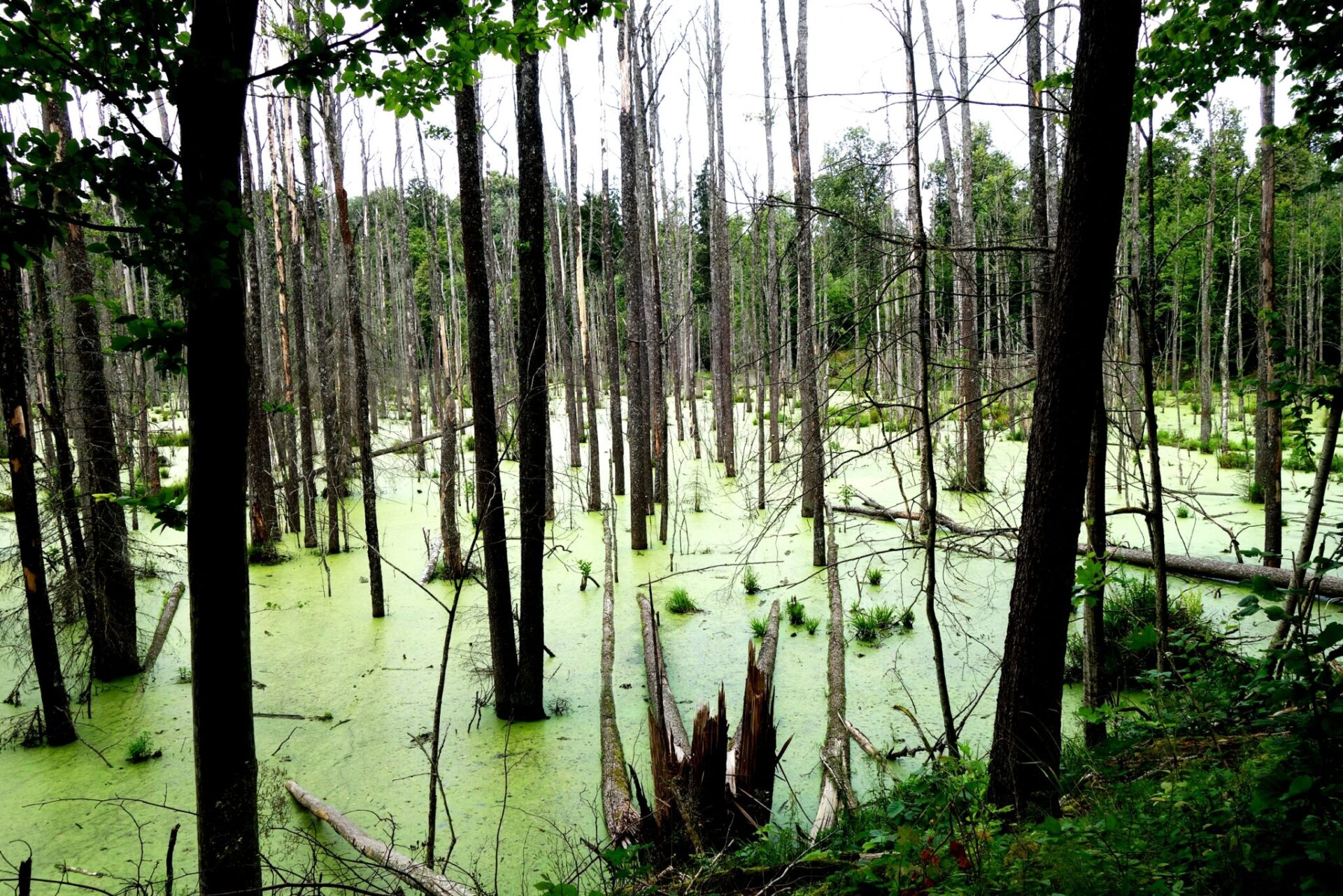 Trasy Rowerowe Mazury