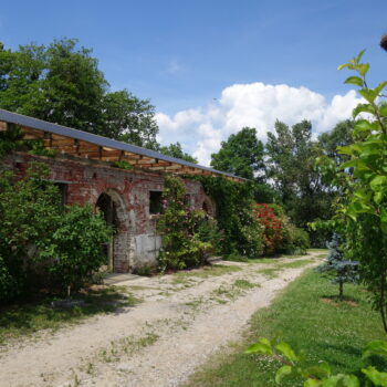 Zdjęcie galerii 14