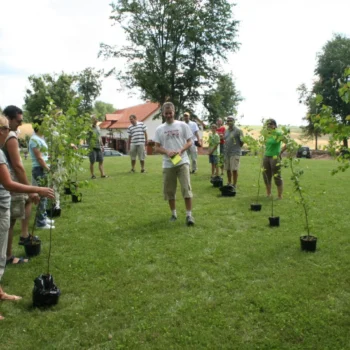 Zdjęcie galerii 6