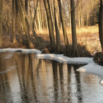 Zdjęcie galerii 8