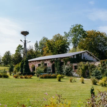 Zdjęcie galerii 4