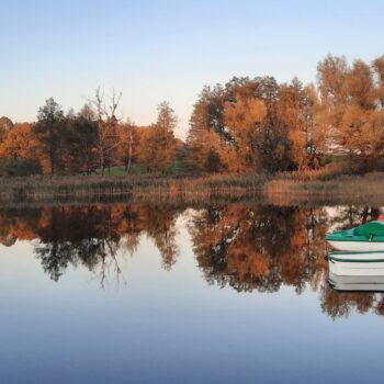 Zdjęcie galerii 2