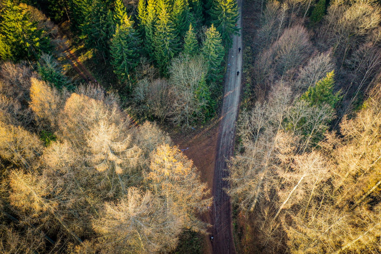 7 sposobów na niwelację przebodźcowania