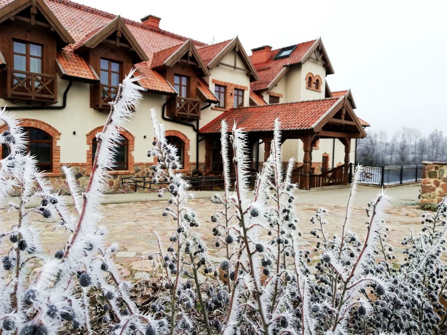 Jak świętujemy Sylwestra…