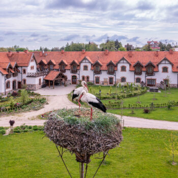 Zdjęcie galerii 9